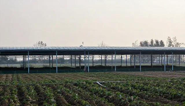 合规管理：年度审计与鉴证的使用与维护建议